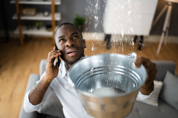 Best Water damage cleanup near me  in Iron Mountain, MI
