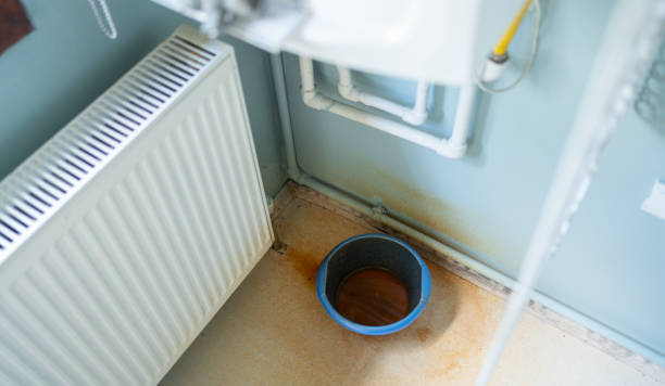 Best Carpet water damage restoration  in Iron Mountain, MI