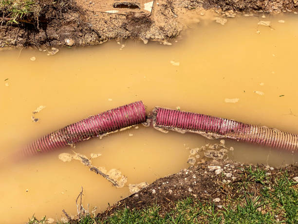Best Water damage restoration process  in Iron Mountain, MI